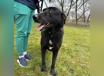 Sjena ein kräftiges Mädchen