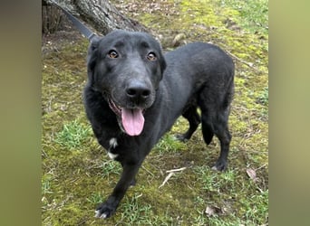 Sjena ein kräftiges Mädchen