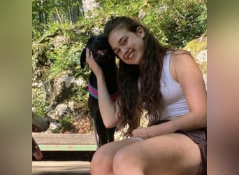 Mate ein absoluter Familienhund