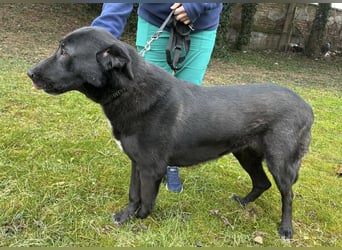 Sjena ein kräftiges Mädchen