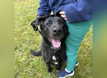 Sjena ein kräftiges Mädchen