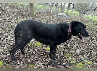 Sjena ein kräftiges Mädchen