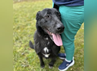 Sjena ein kräftiges Mädchen