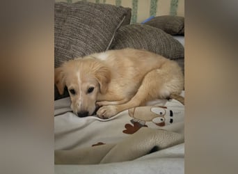 Nacho: endlich leben