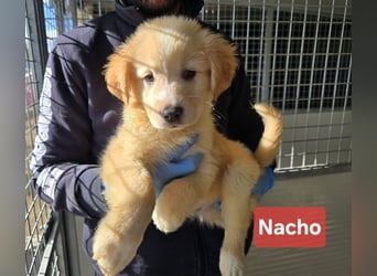 Nacho: endlich leben