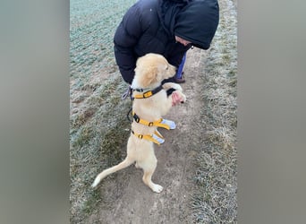 Nacho: endlich leben