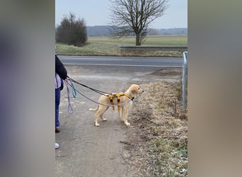 Nacho: endlich leben