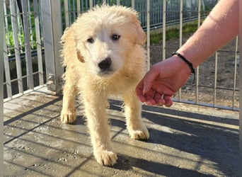 Naira und Norma - vom Flughafen ins schöne Leben