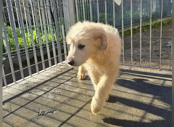 Naira und Norma - vom Flughafen ins schöne Leben