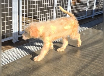 Naira und Norma - vom Flughafen ins schöne Leben