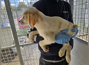 Nelson: vom Flughafen ins schöne Leben