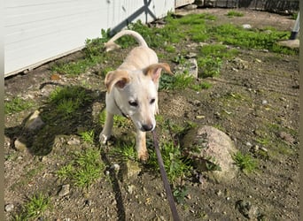 Festa: Hallo, hier bin ich!