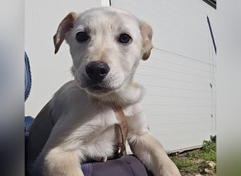 Festa: Hallo, hier bin ich!