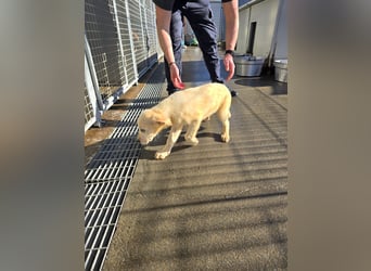 Naira und Norma - vom Flughafen ins schöne Leben