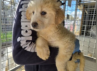 Naira und Norma - vom Flughafen ins schöne Leben