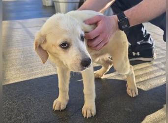 Naira und Norma - vom Flughafen ins schöne Leben