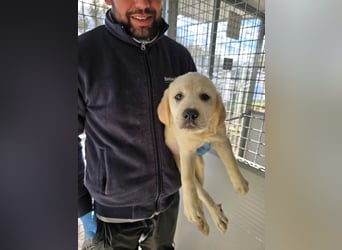 Nelson: vom Flughafen ins schöne Leben