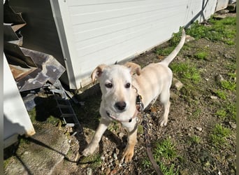 Festa: Hallo, hier bin ich!