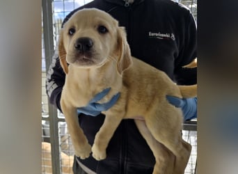 Naira und Norma - vom Flughafen ins schöne Leben