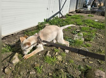 Festa: Hallo, hier bin ich!