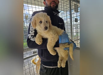 Naira und Norma - vom Flughafen ins schöne Leben