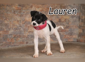 Darf Lauren schon bald an deiner Seite die Welt entdecken?