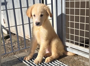 Nelson: vom Flughafen ins schöne Leben