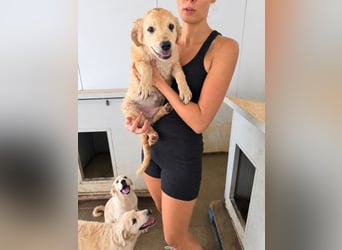 Gino: wer will mit mir spielen und kuscheln