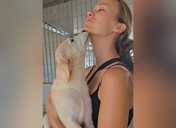 Polly: wird mein Leben bunt und schön?