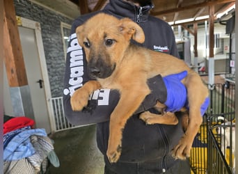 Fritz: er liebt das Leben