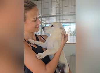 Panda: wird mein Leben bunt und schön?