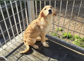 Nele und Noura: vom Flughafen ins schöne Leben