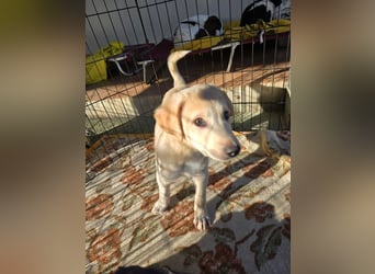 Emanuela: Spaß und gute Laune garantiert