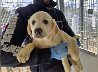 Nelson: vom Flughafen ins schöne Leben