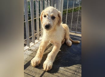 Nele und Noura: vom Flughafen ins schöne Leben