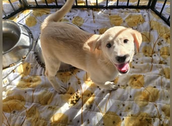 Emanuela: Spaß und gute Laune garantiert