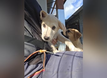 Emanuela: Spaß und gute Laune garantiert