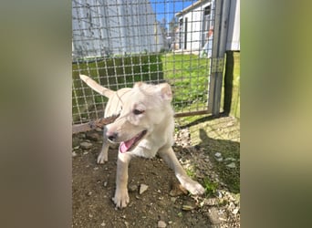 Fiamma: Hallo, hier bin ich!