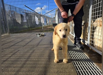 Nelson: vom Flughafen ins schöne Leben