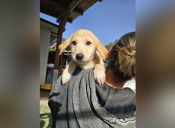 Emanuela: Spaß und gute Laune garantiert