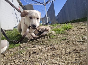 Fidor: Hallo, hier bin ich!