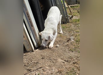 Lea: wer öffnet mir die Tür?