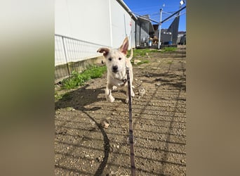 Fidor: Hallo, hier bin ich!