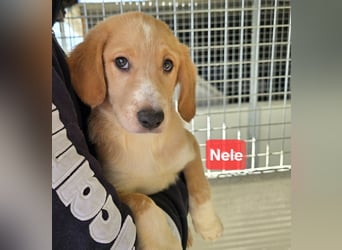 Nele und Noura: vom Flughafen ins schöne Leben