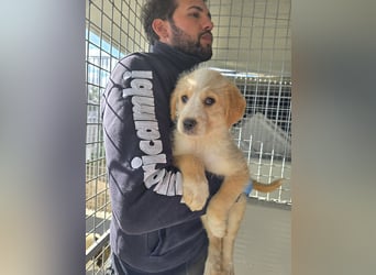 Nele und Noura: vom Flughafen ins schöne Leben