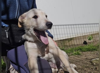 Fidor: Hallo, hier bin ich!