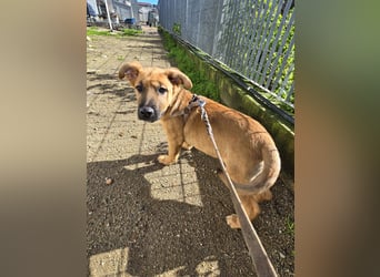 Fritz: er liebt das Leben