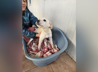 Fiamma: Hallo, hier bin ich!