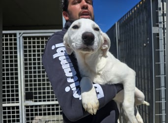 Lea: wer öffnet mir die Tür?