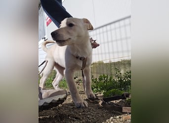 Fiamma: Hallo, hier bin ich!